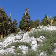 SouthernSierra 433 : SouthernSierra